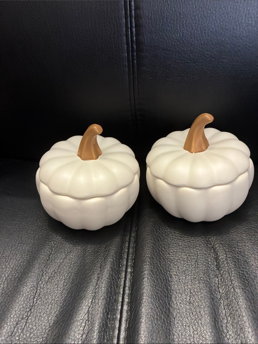 White Ceramic Pumpkin Small Cocotte with Brown Stems (Set of 2)